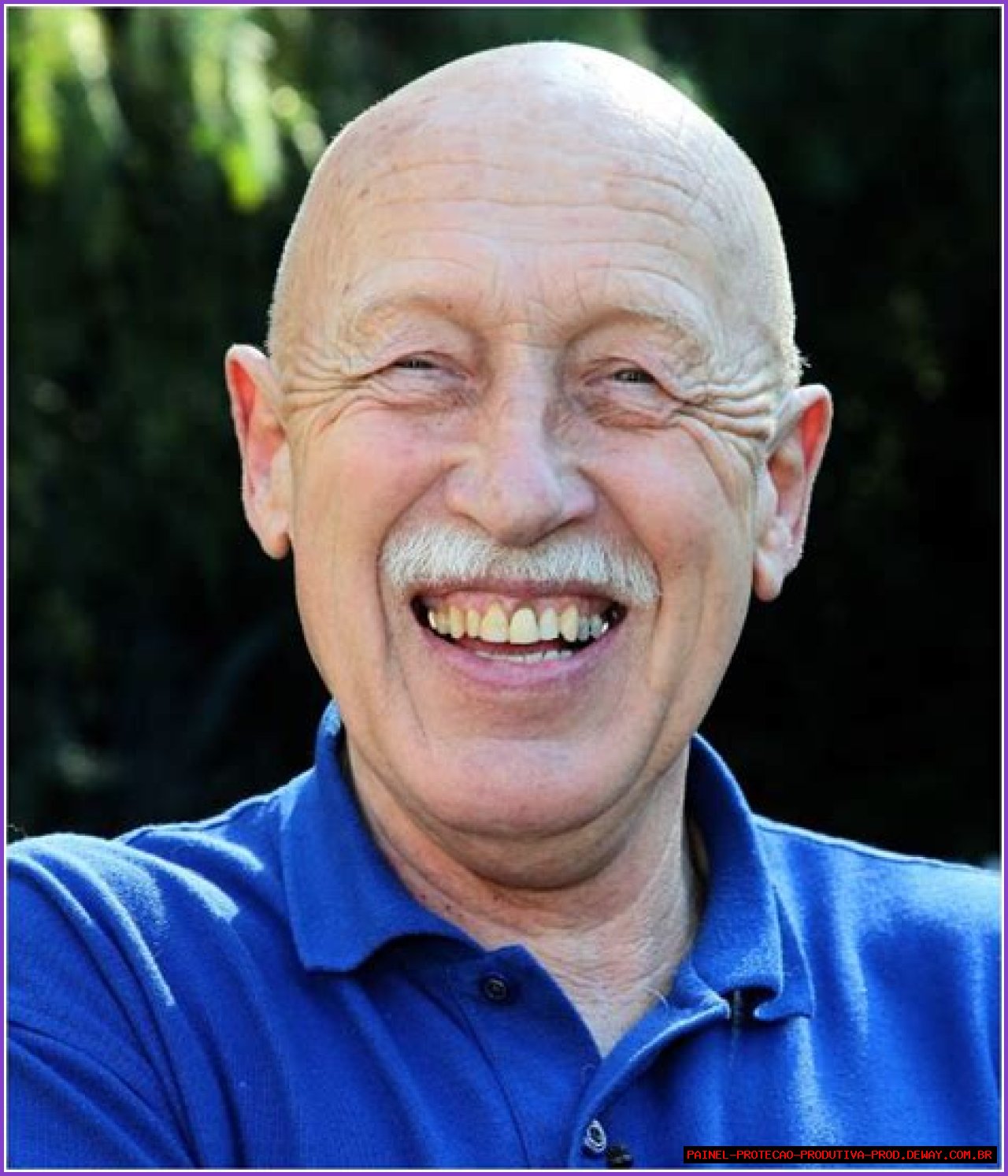 Unveiling The Wealth Of Dr. Pol: Understanding His Net Worth